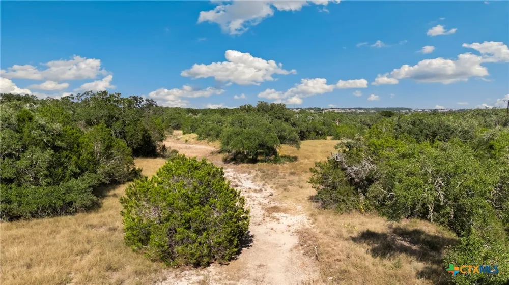 1732 Herbelin Road New Braunfels, TX 78132