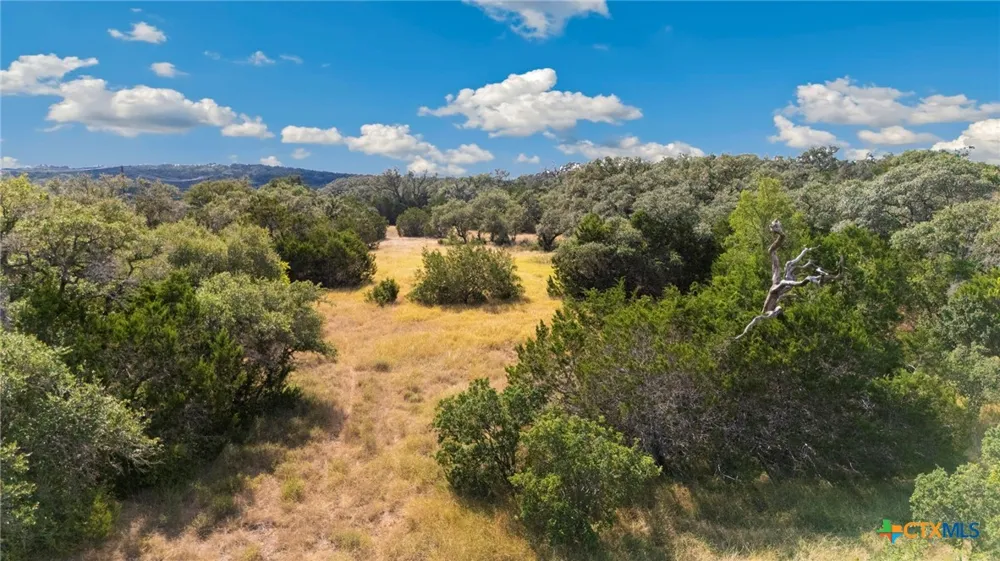 1732 Herbelin Road New Braunfels, TX 78132