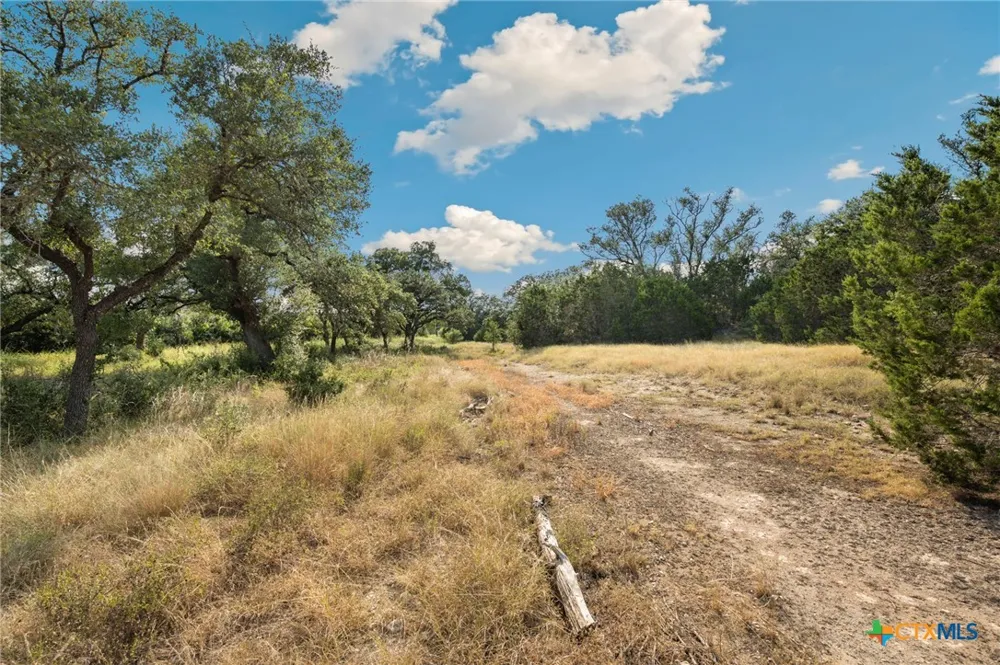 1732 Herbelin Road New Braunfels, TX 78132