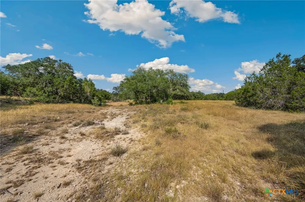 1732 Herbelin Road New Braunfels, TX 78132