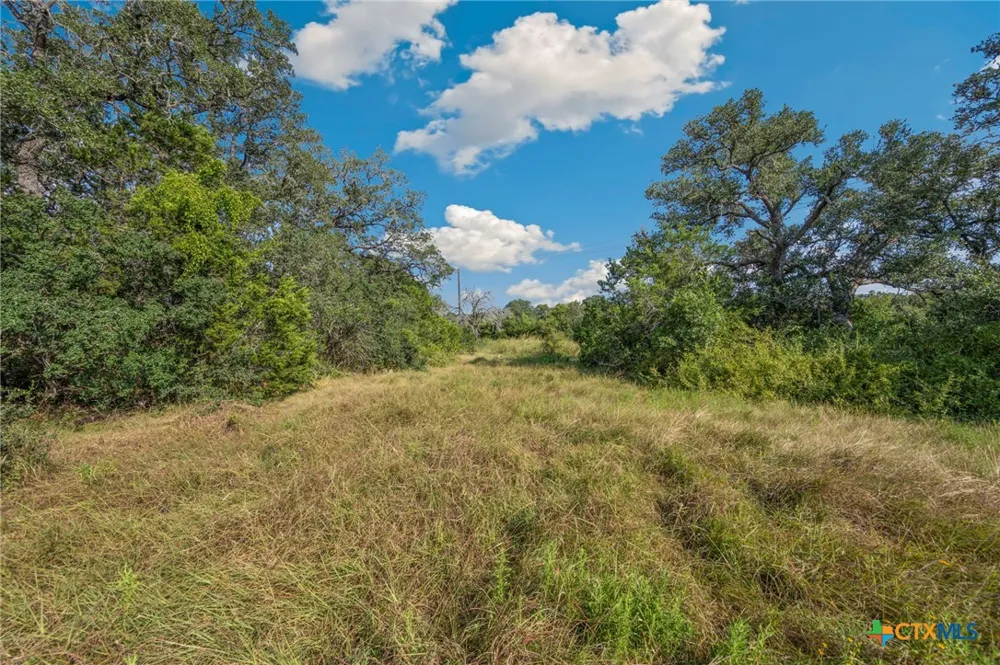 1732 Herbelin Road New Braunfels, TX 78132