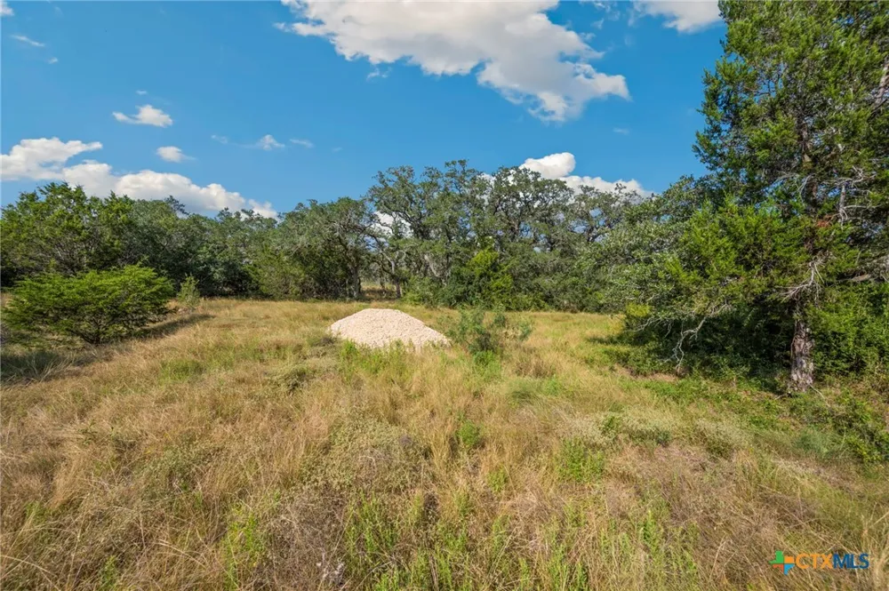 1732 Herbelin Road New Braunfels, TX 78132
