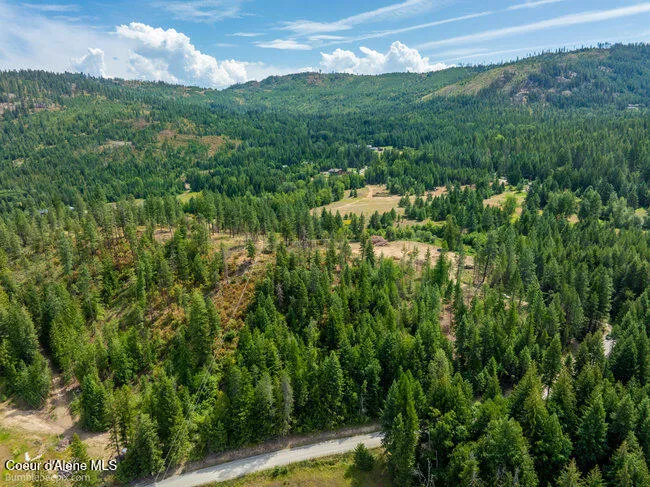 197 Schneiders Road Sagle, ID 83860