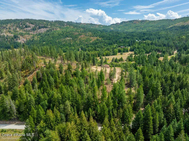 197 Schneiders Road Sagle, ID 83860