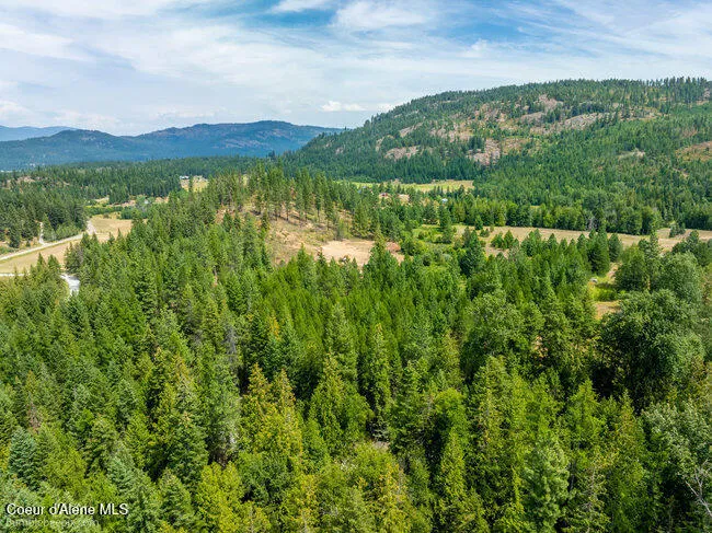 197 Schneiders Road Sagle, ID 83860