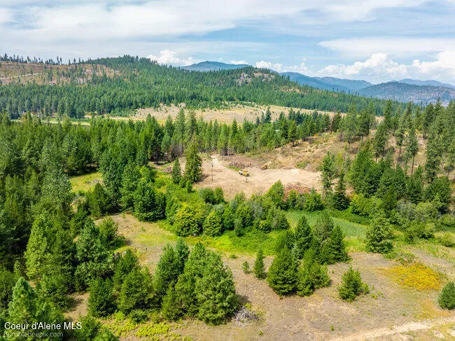 197 Schneiders Road Sagle, ID 83860