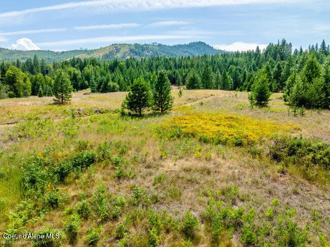 197 Schneiders Road Sagle, ID 83860