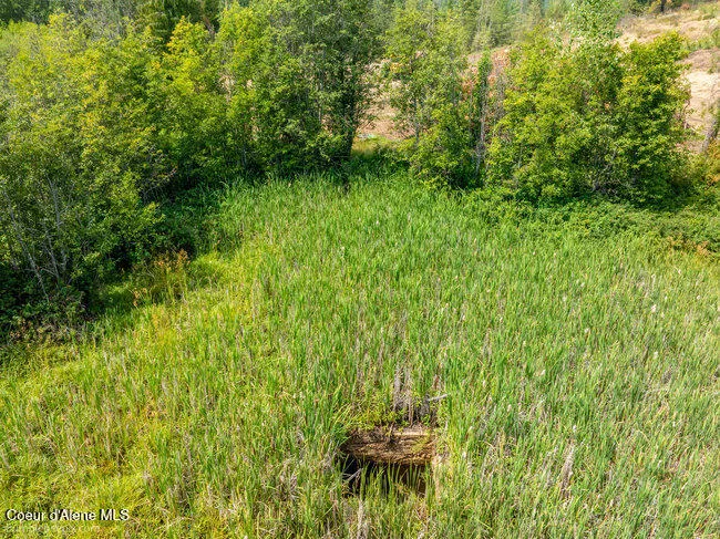197 Schneiders Road Sagle, ID 83860