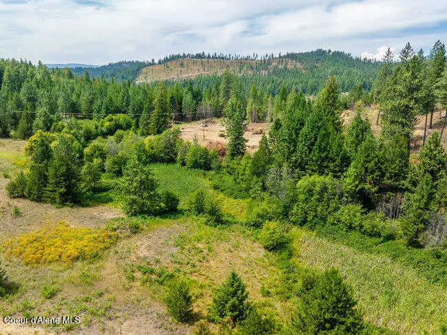 197 Schneiders Road Sagle, ID 83860