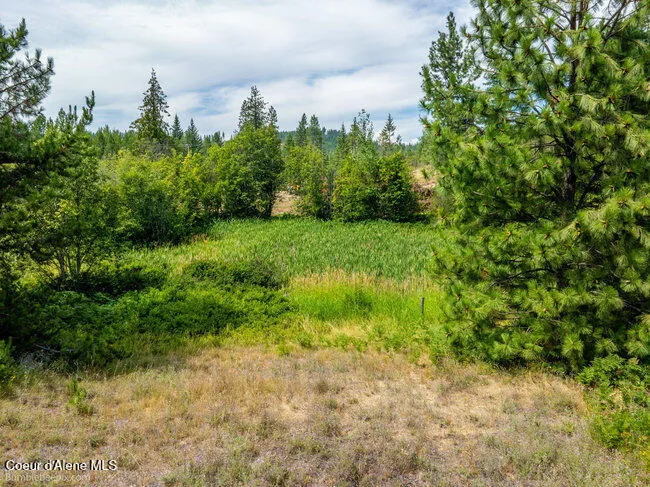 197 Schneiders Road Sagle, ID 83860