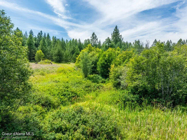 197 Schneiders Road Sagle, ID 83860