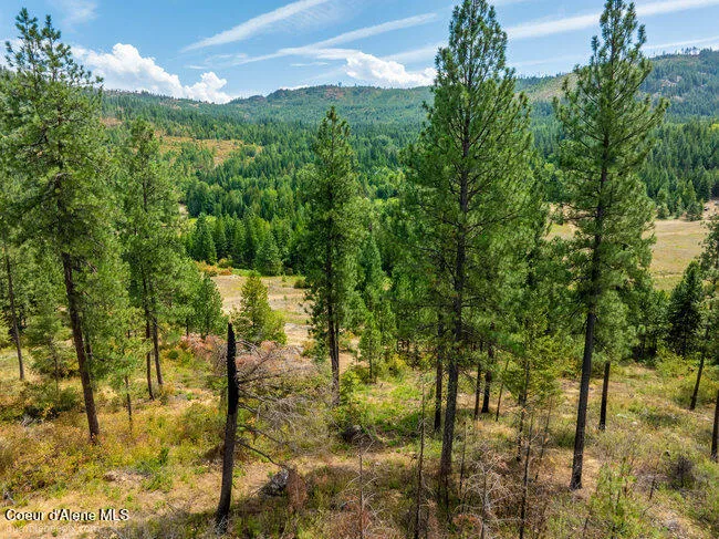 197 Schneiders Road Sagle, ID 83860