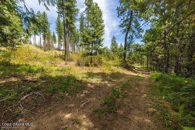 197 Schneiders Road Sagle, ID 83860