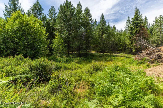 197 Schneiders Road Sagle, ID 83860