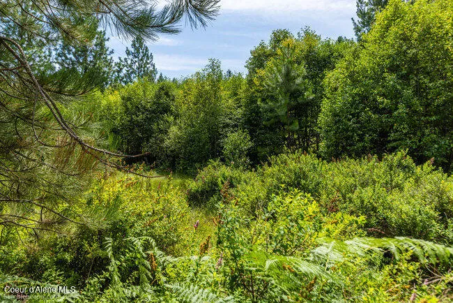 197 Schneiders Road Sagle, ID 83860