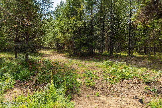 197 Schneiders Road Sagle, ID 83860