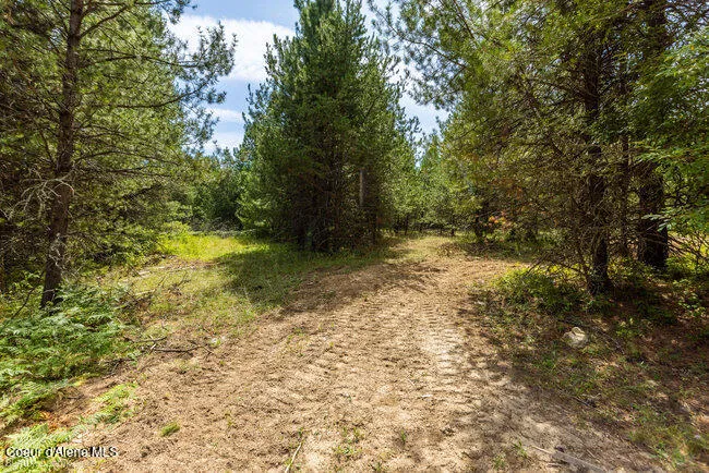 197 Schneiders Road Sagle, ID 83860