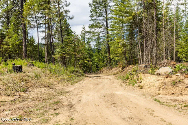 197 Schneiders Road Sagle, ID 83860