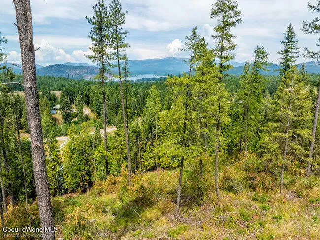 197 Schneiders Road Sagle, ID 83860