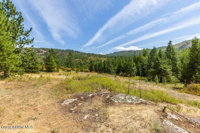 197 Schneiders Road Sagle, ID 83860