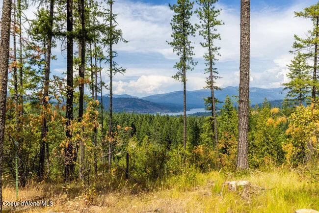 197 Schneiders Road Sagle, ID 83860