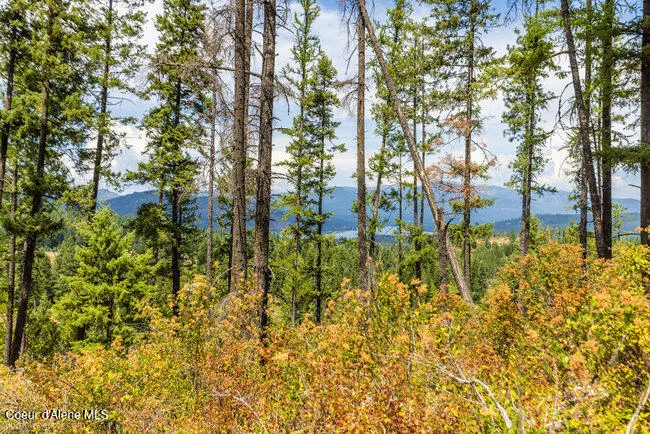 197 Schneiders Road Sagle, ID 83860