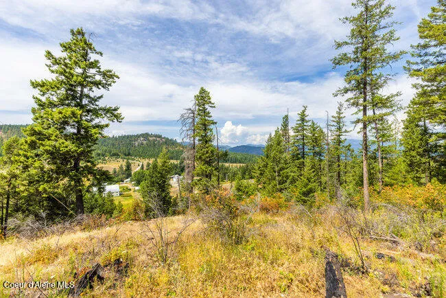 197 Schneiders Road Sagle, ID 83860