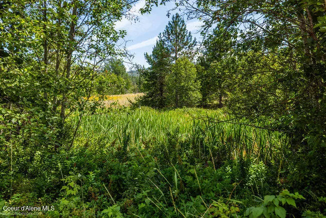 197 Schneiders Road Sagle, ID 83860