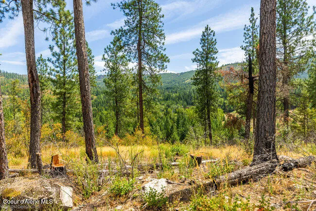 197 Schneiders Road Sagle, ID 83860