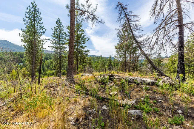 197 Schneiders Road Sagle, ID 83860