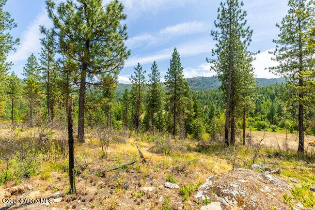 197 Schneiders Road Sagle, ID 83860