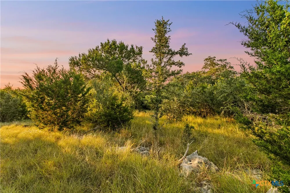 322 Lookout Ridge New Braunfels, TX 78132