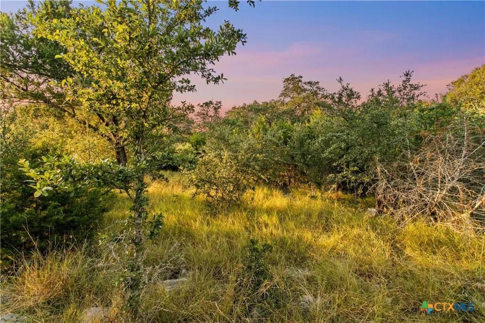 322 Lookout Ridge New Braunfels, TX 78132
