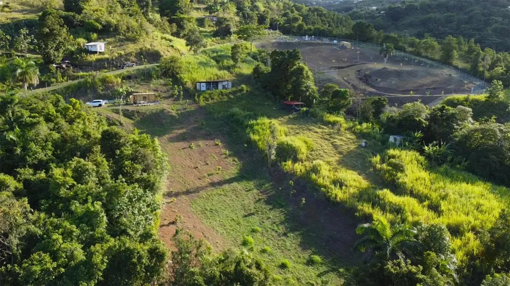 Bo. Carruzo SECTOR LAS FLORES Carolina, PR 00987