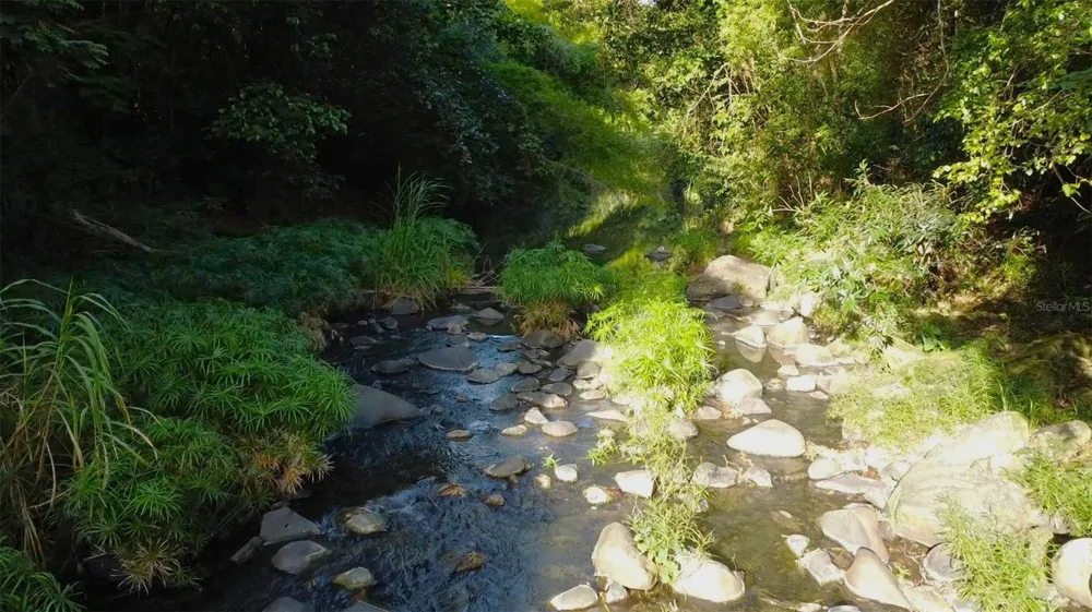 Bo. Carruzo SECTOR LAS FLORES Carolina, PR 00987