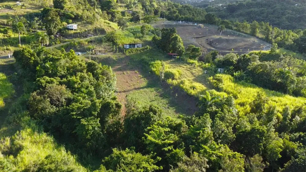 Bo. Carruzo SECTOR LAS FLORES Carolina, PR 00987