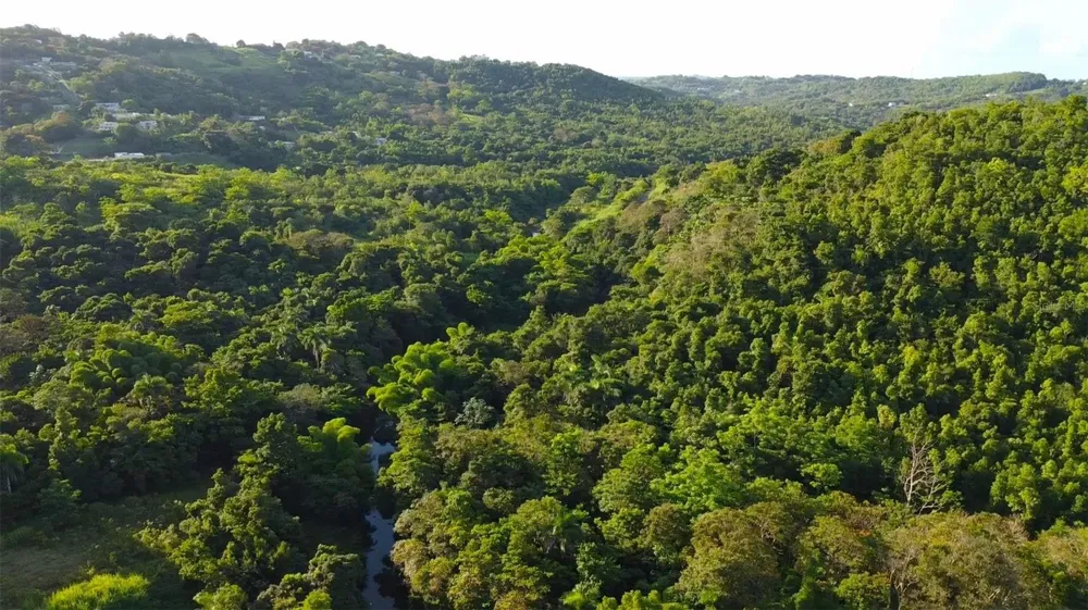Bo. Carruzo SECTOR LAS FLORES Carolina, PR 00987