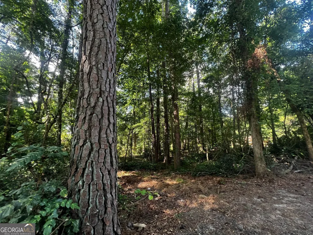 4074 Panola RD Stonecrest, GA 30038