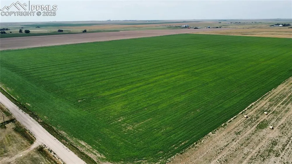 County Road 33 Genoa, CO 80818
