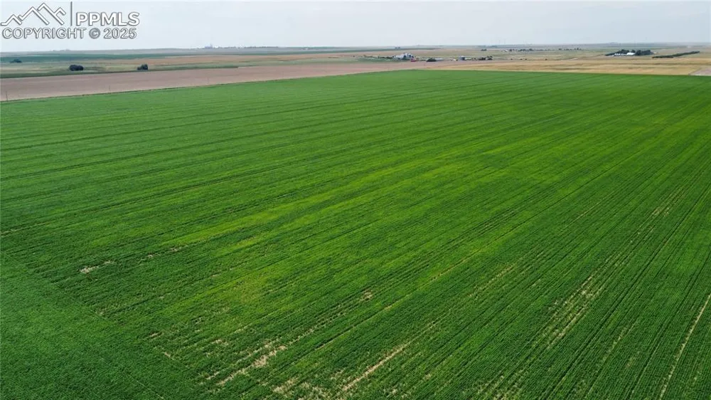 County Road 33 Genoa, CO 80818