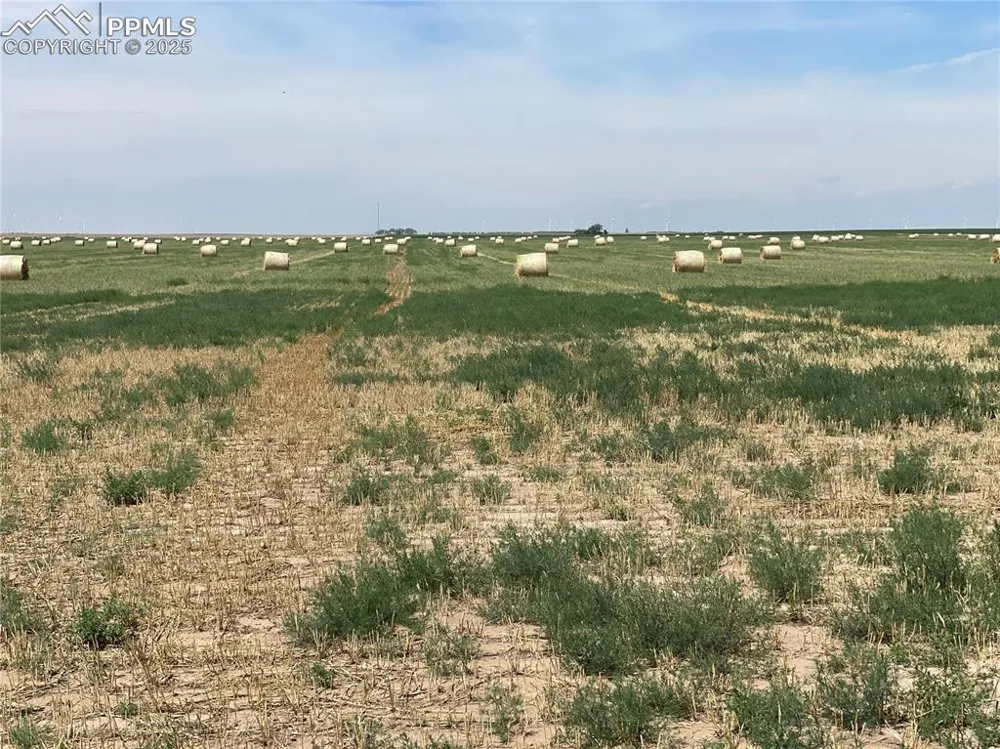 County Road 33 Genoa, CO 80818