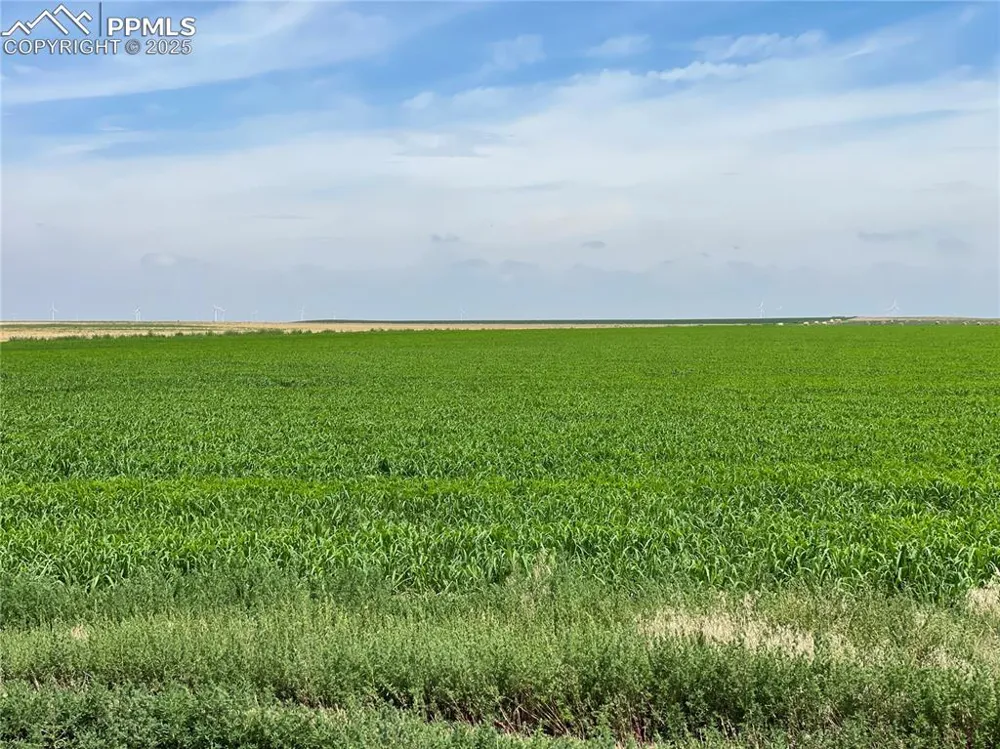 County Road 33 Genoa, CO 80818