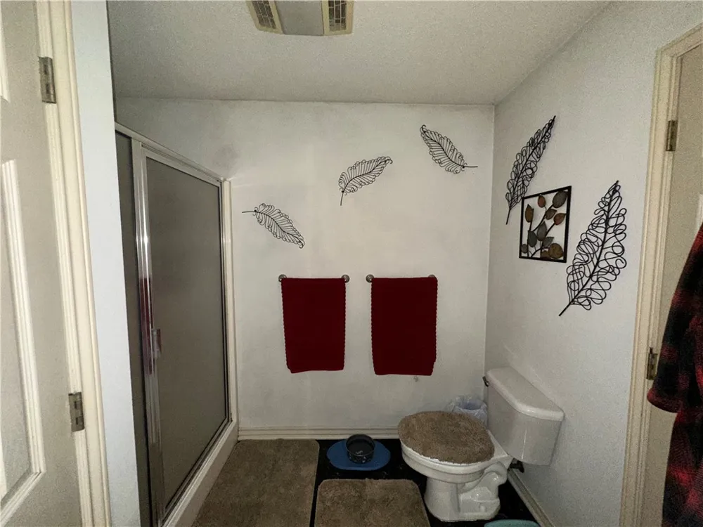 7602 FM 796 Skidmore, TX 78389