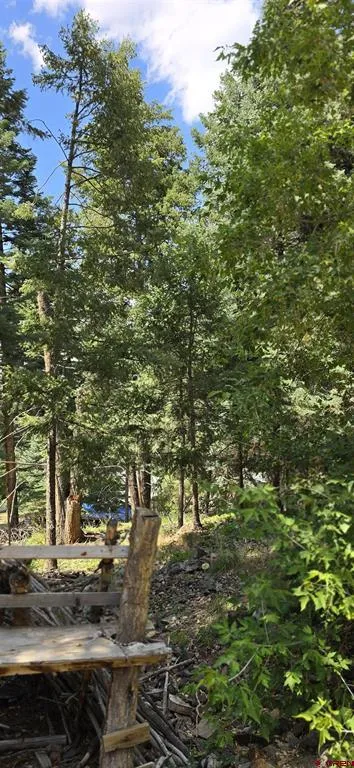 140 Fedel Court Ouray, CO 81427