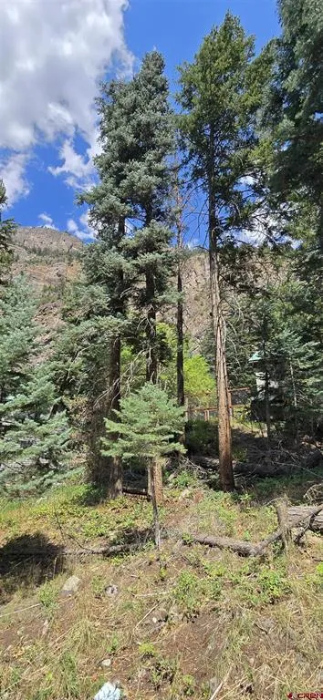 140 Fedel Court Ouray, CO 81427