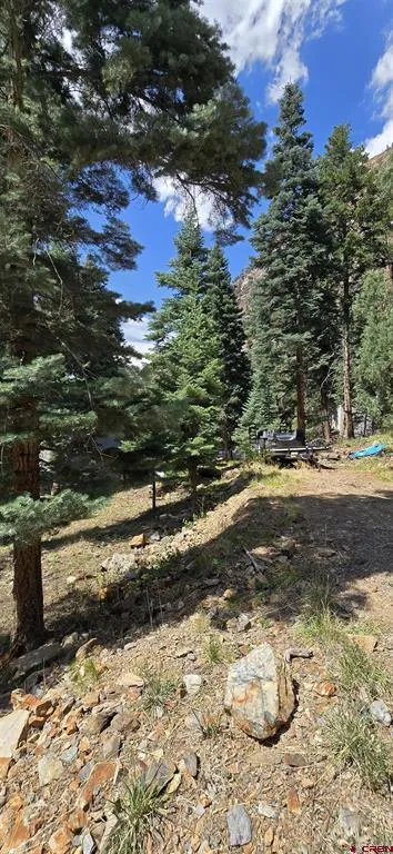 140 Fedel Court Ouray, CO 81427
