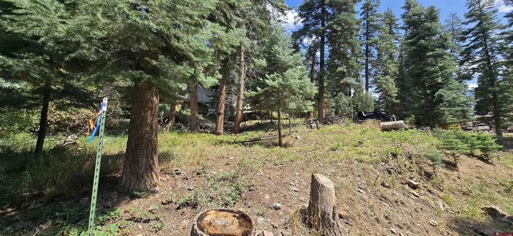140 Fedel Court Ouray, CO 81427