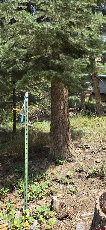 140 Fedel Court Ouray, CO 81427