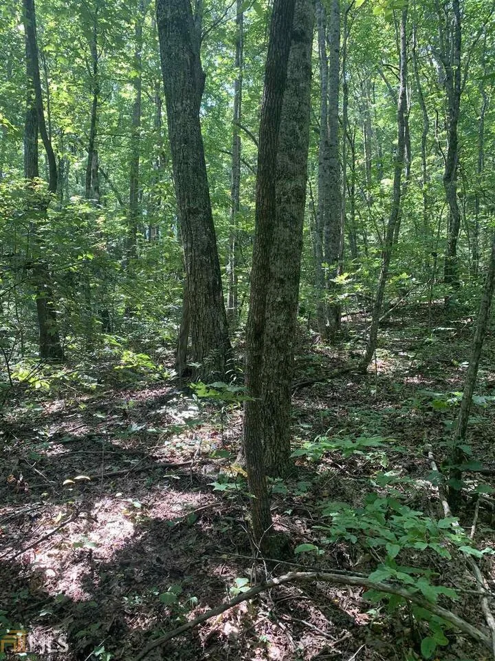 LOT 67 N N Woods PT Sky Valley, GA 30537