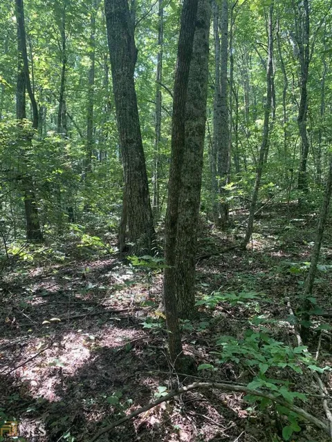 LOT 67 N N Woods PT
